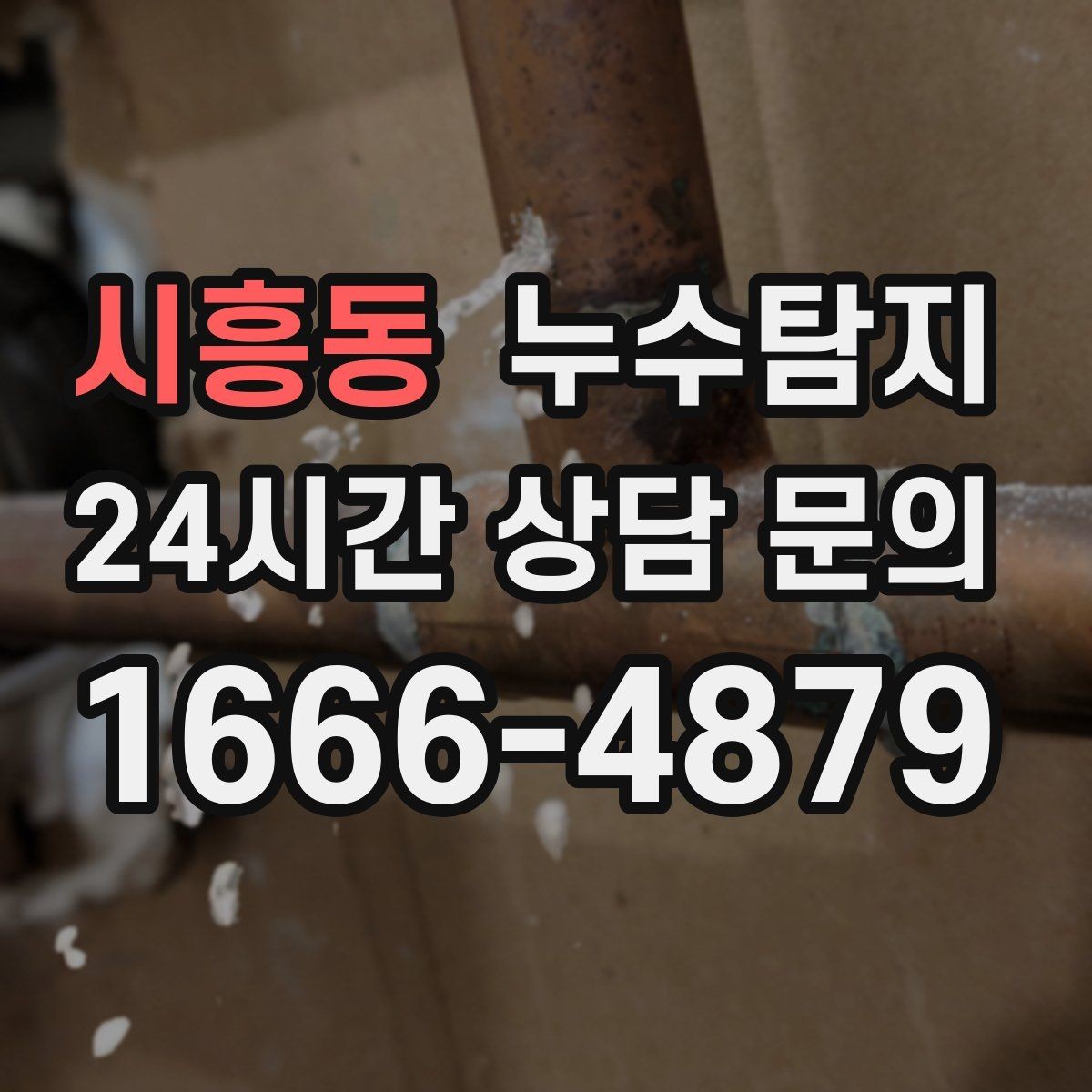 시흥동 누수탐지 가구 뒤 곰팡이 원인 파헤치기