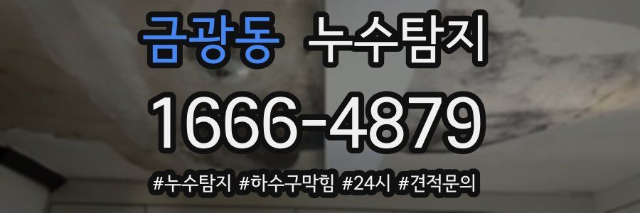 누수닥터 누수탐지