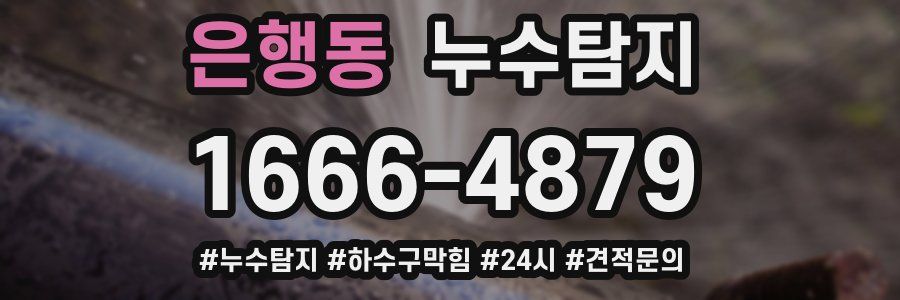 누수닥터 누수탐지