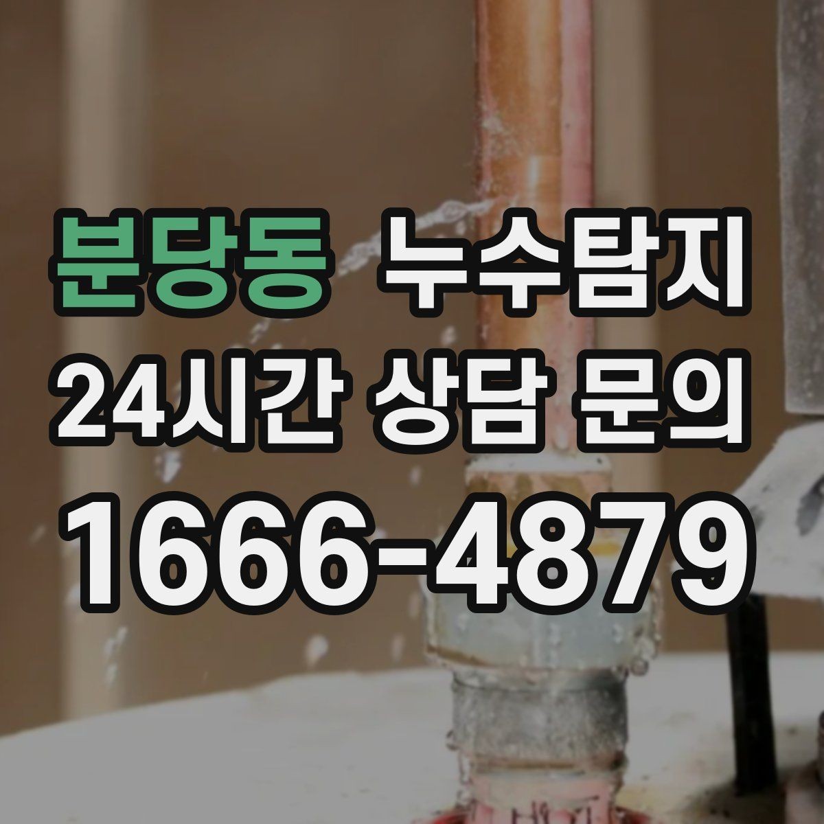 분당동 누수탐지 비용과 가치 균형 맞춘 사례