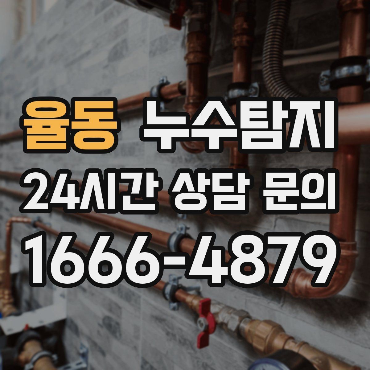 율동 누수탐지 상가 매장 영업 중 점검 노하우