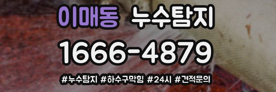 누수닥터 누수탐지