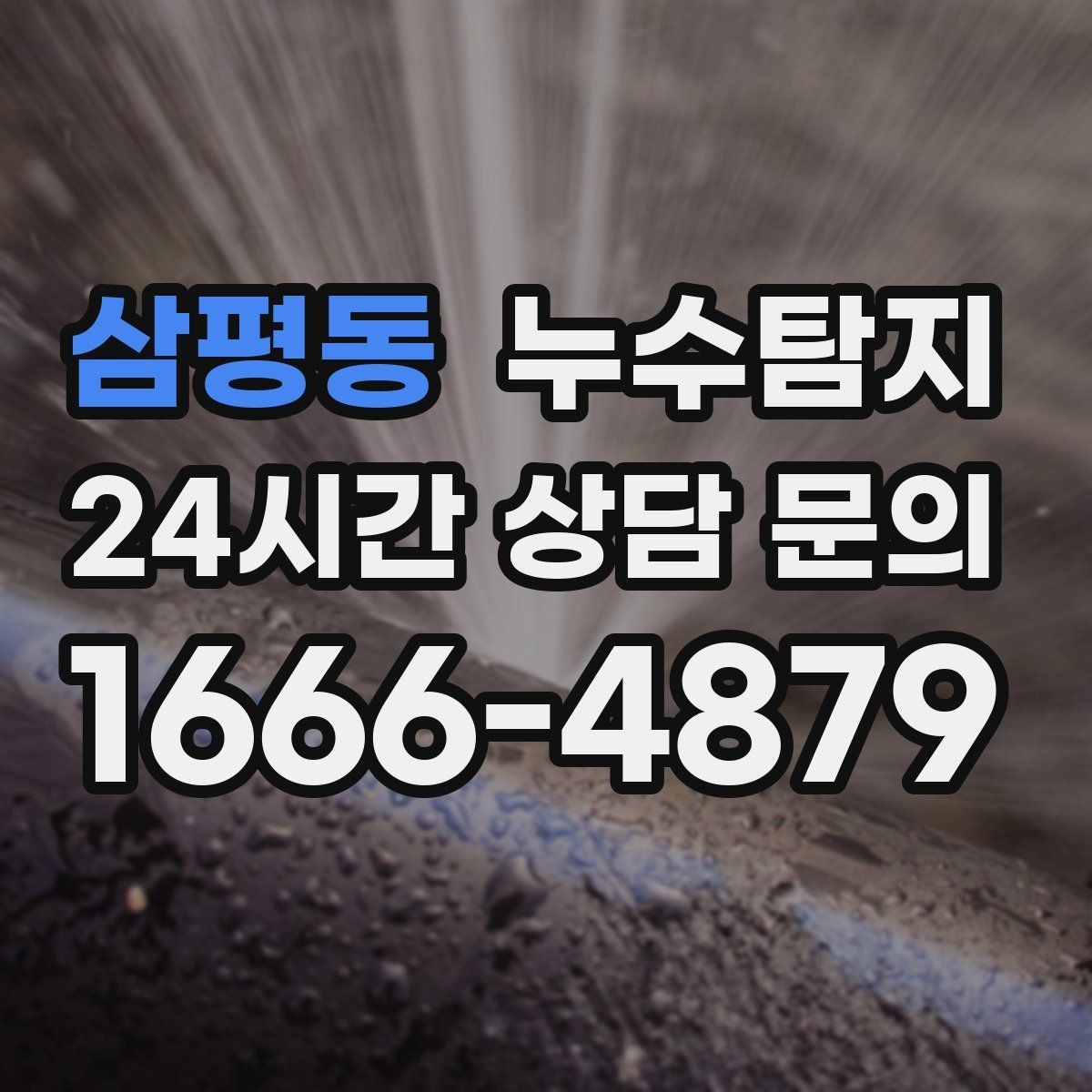 삼평동 누수탐지 전문가와 동행한 하루의 기록