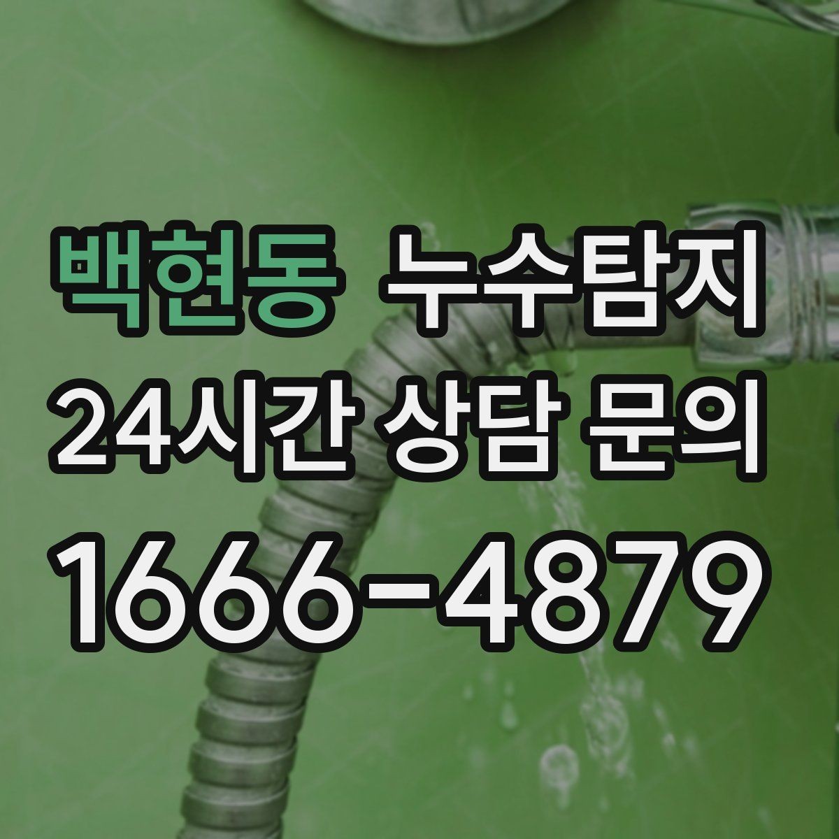 백현동 누수탐지 바닥 습기 근본 원인 점검