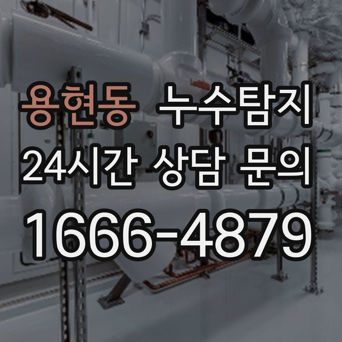 용현동 누수탐지 정밀하게 숨어있는 누수를 확실하게 진단합니다.