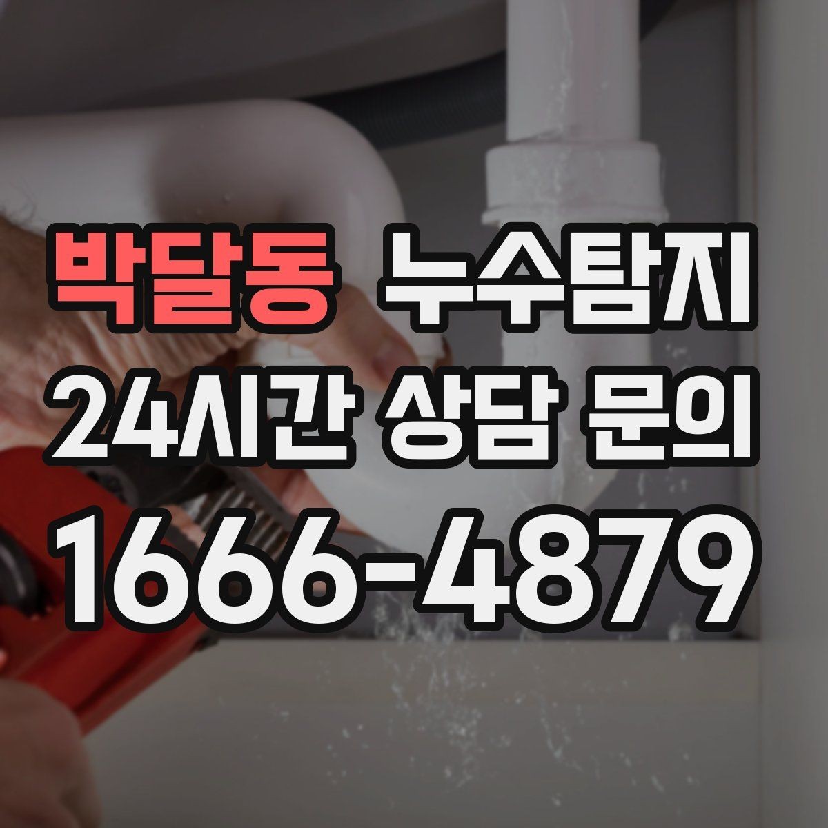 박달동 누수탐지 공용 복도 천장 점검 사례
