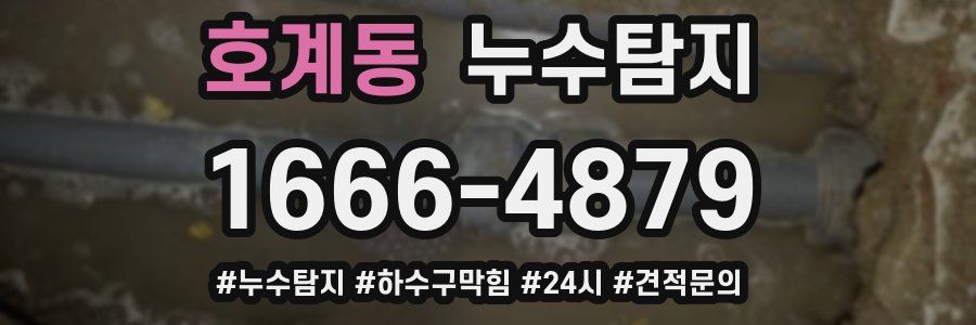 누수닥터 누수탐지