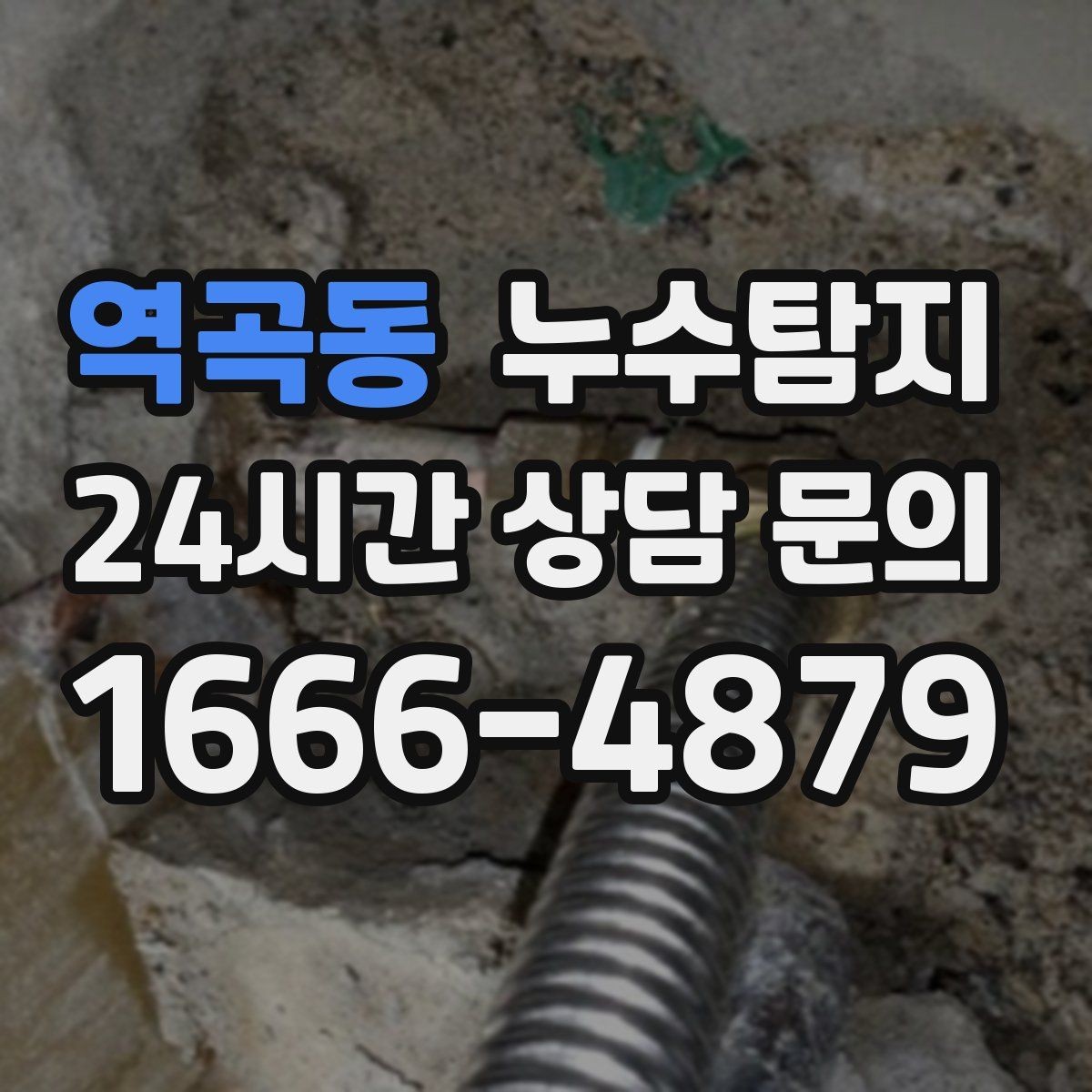역곡동 누수탐지 반려가정 배려 점검 후기
