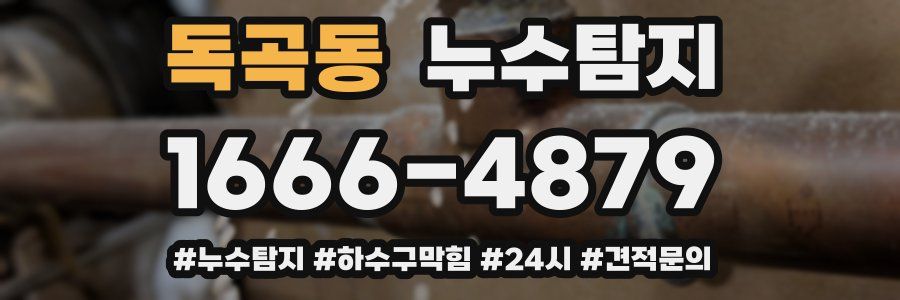 누수닥터 누수탐지