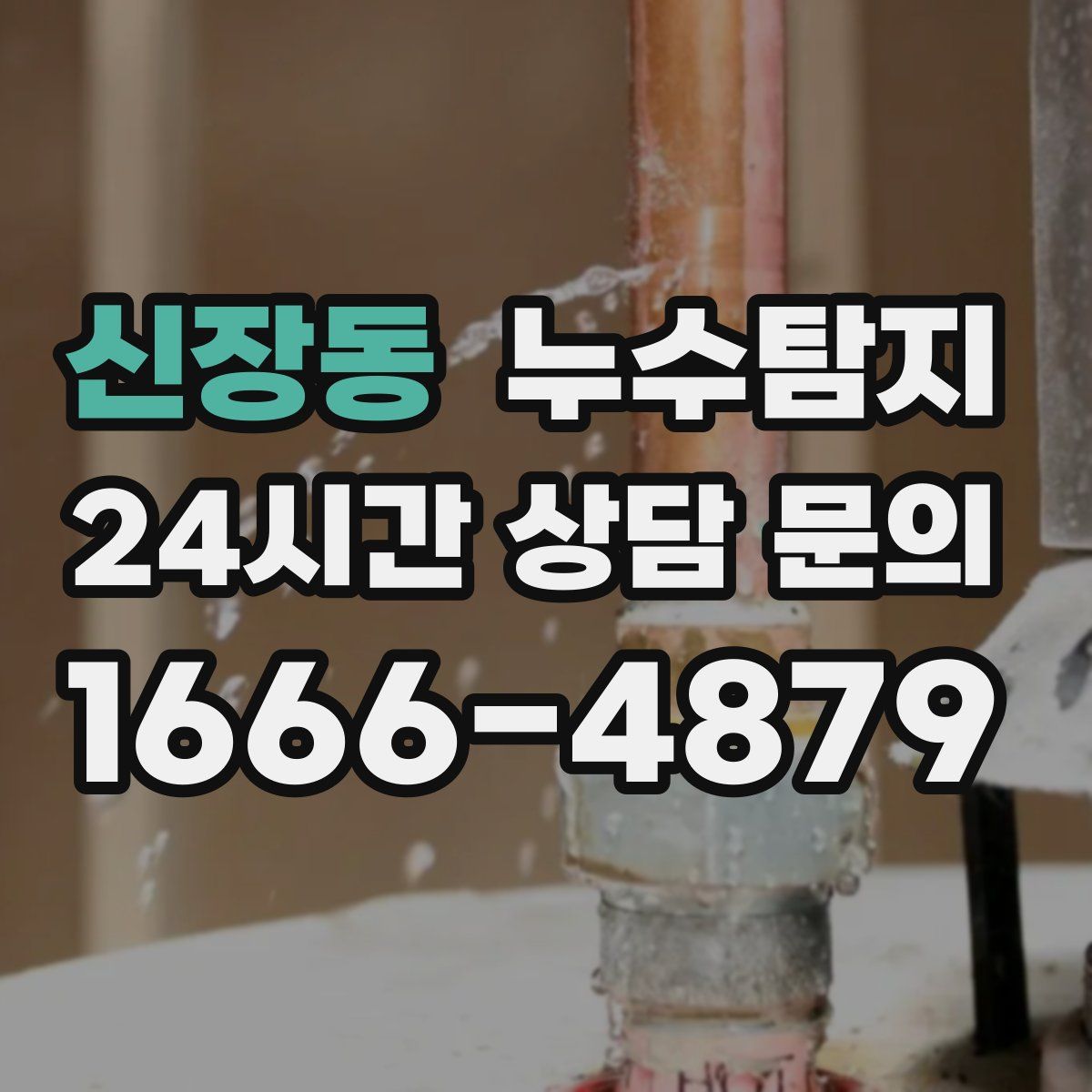 누수탐지