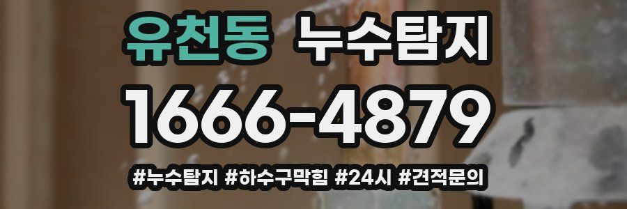 누수닥터 누수탐지