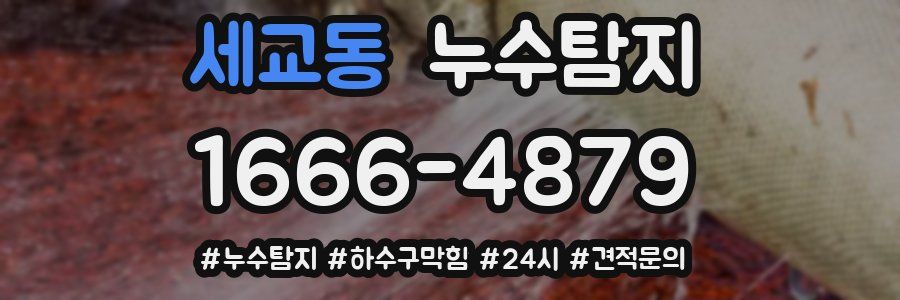 누수닥터 누수탐지