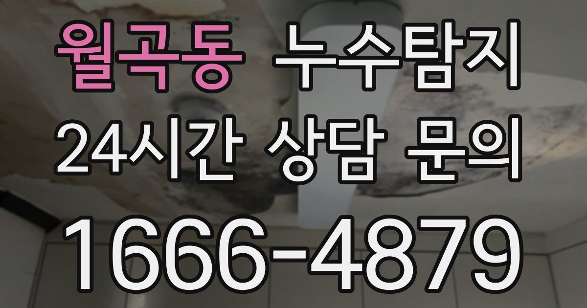 하수구막힘