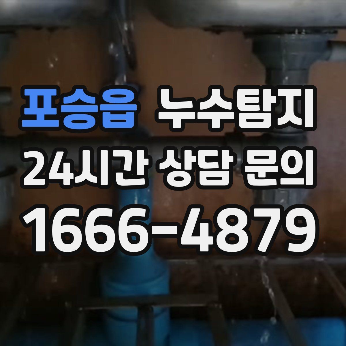 포승읍 누수탐지 문제로 고민이라면