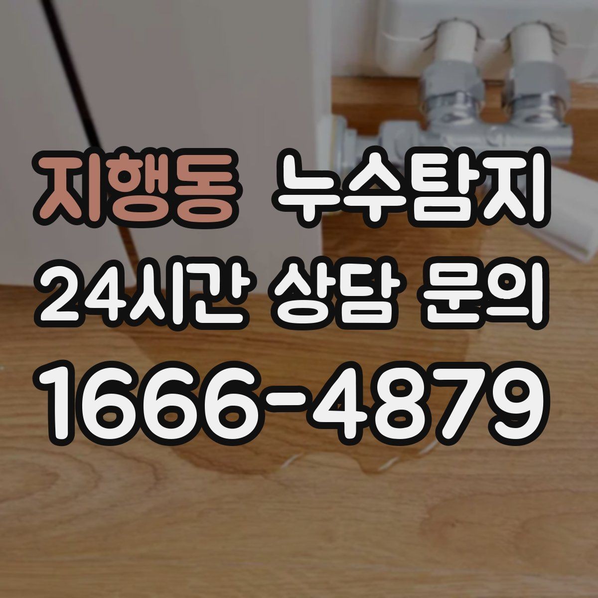 지행동 누수탐지 공용 복도 천장 점검 사례
