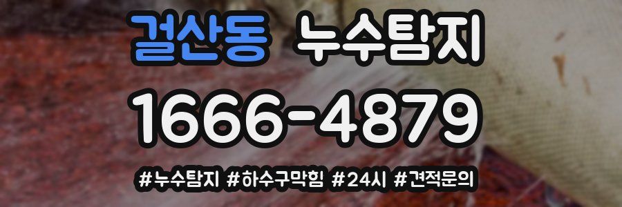 누수닥터 누수탐지