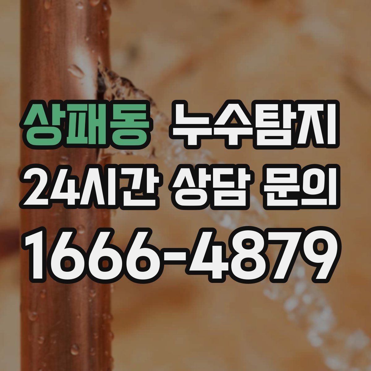 상패동 누수탐지 단열 결로와 누수 구분 진단