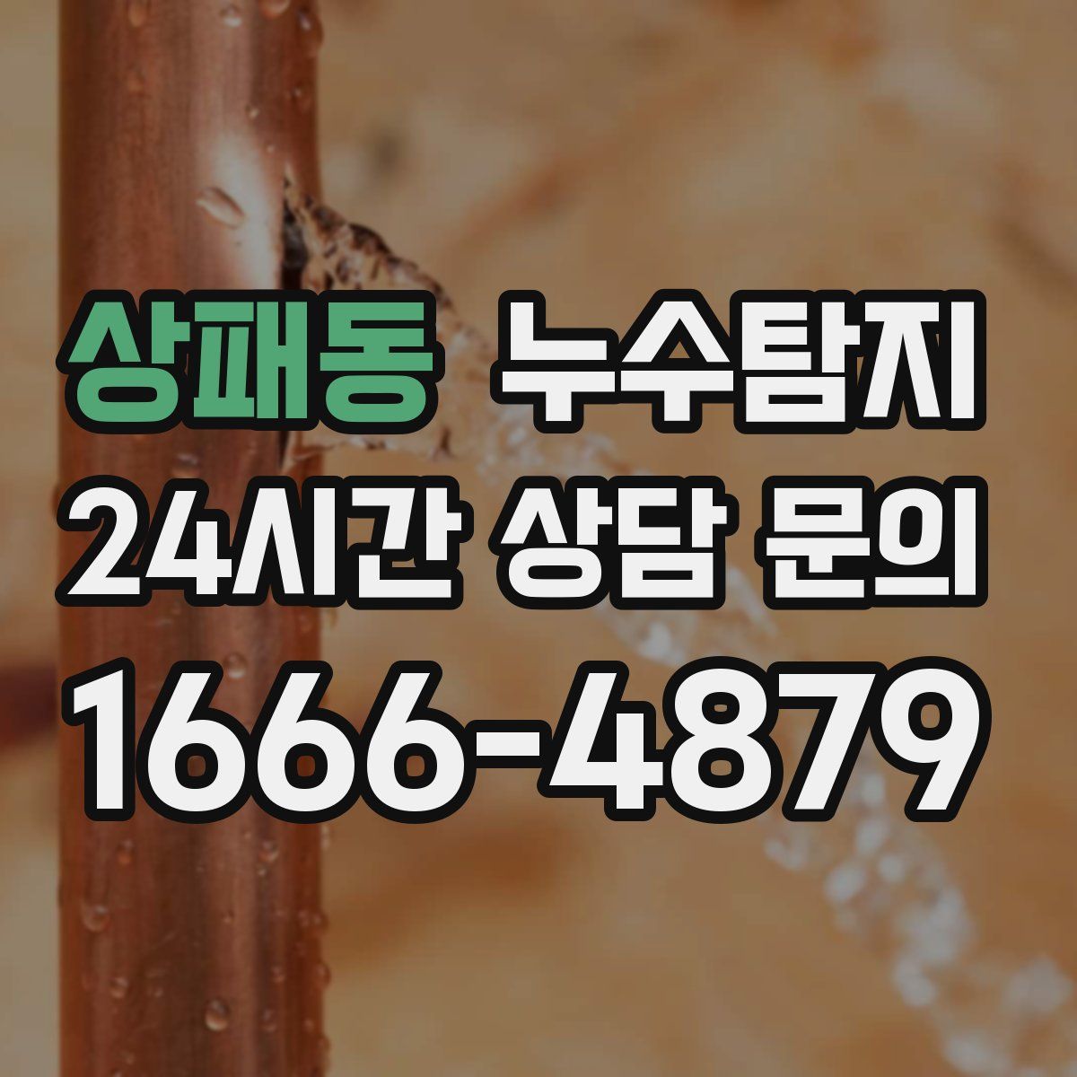 누수탐지