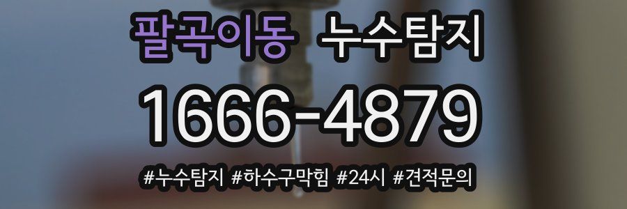 누수닥터 누수탐지