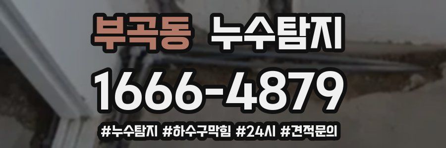 누수닥터 누수탐지