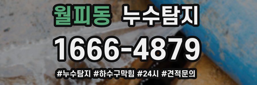누수닥터 누수탐지