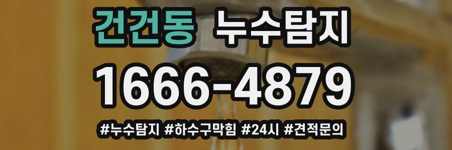 누수닥터 누수탐지