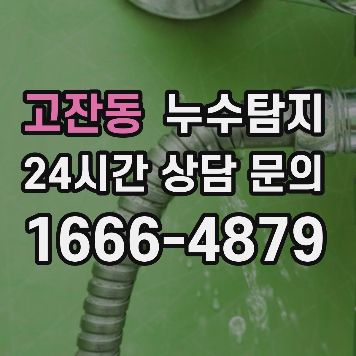 고잔동 누수탐지 욕실 곰팡이 원인과 해결 과정