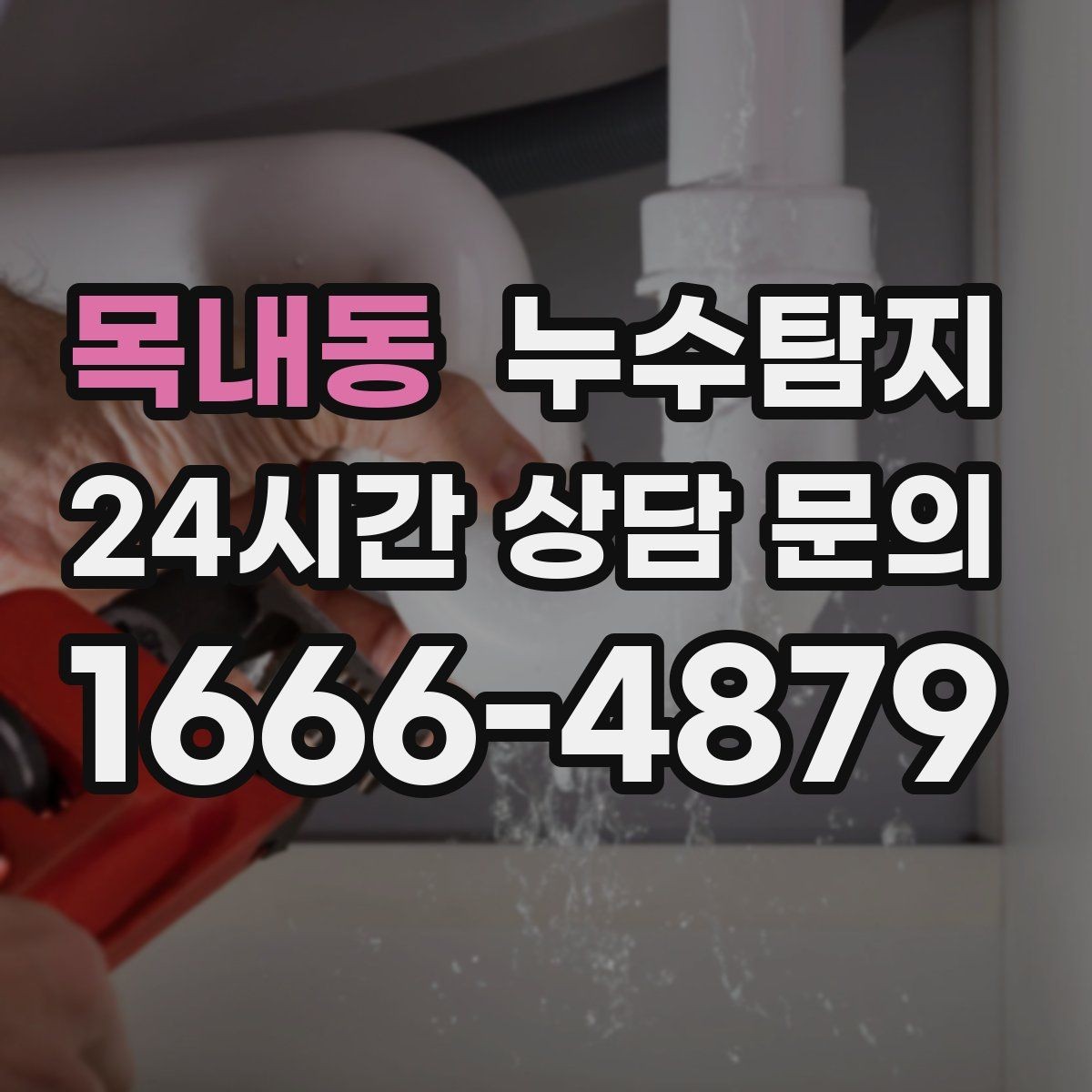 목내동 누수탐지 학교와 병원 등 공공시설 점검기