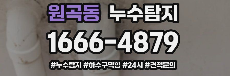 누수닥터 누수탐지