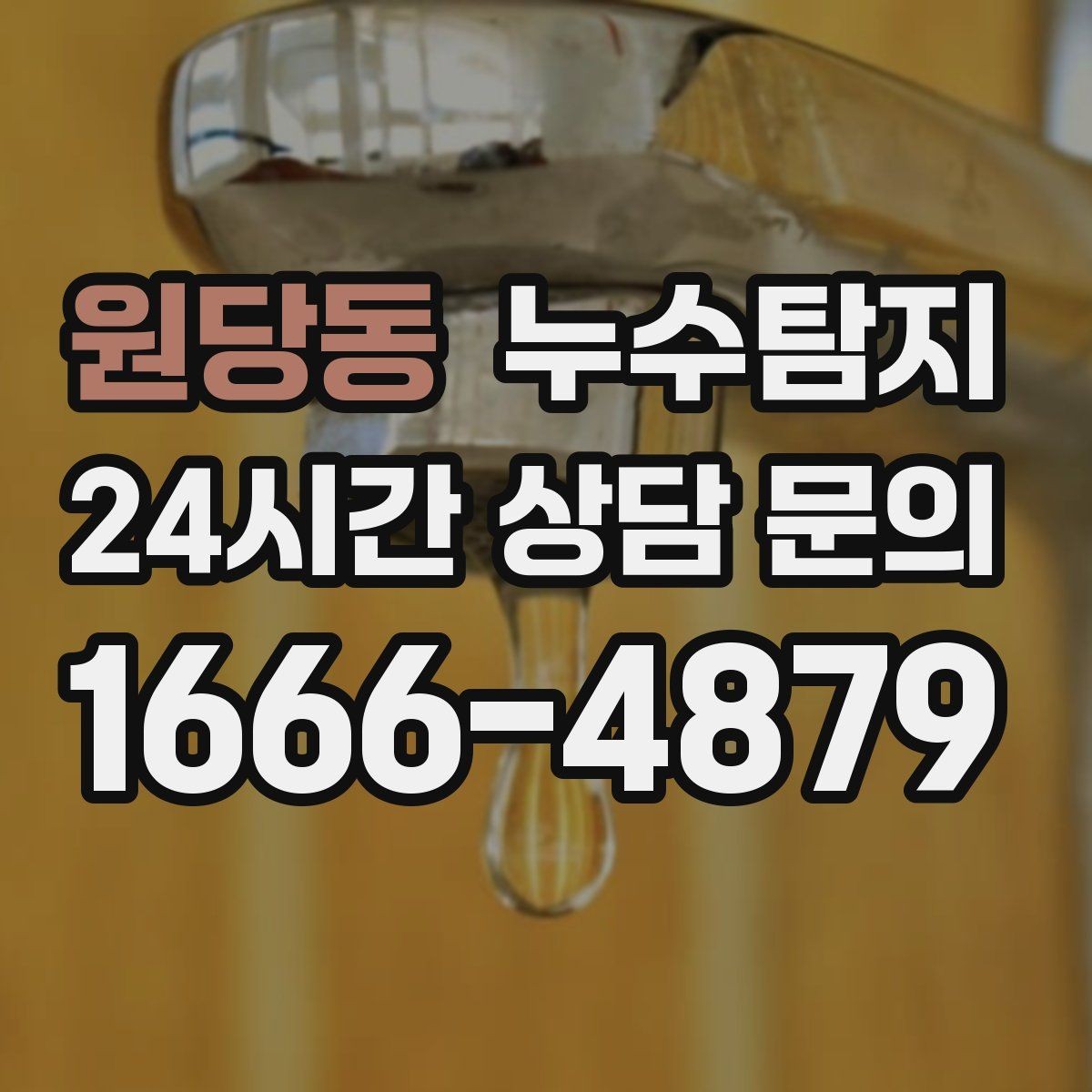 원당동 누수탐지 주말 공휴일 진단 운영