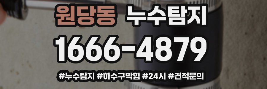 누수닥터 누수탐지
