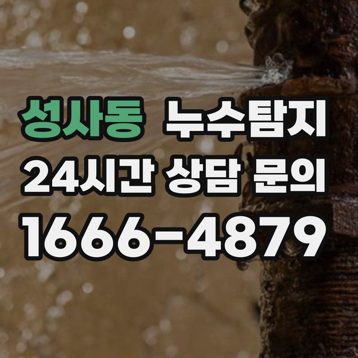 누수탐지