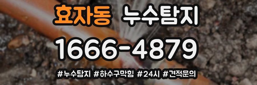 누수닥터 누수탐지