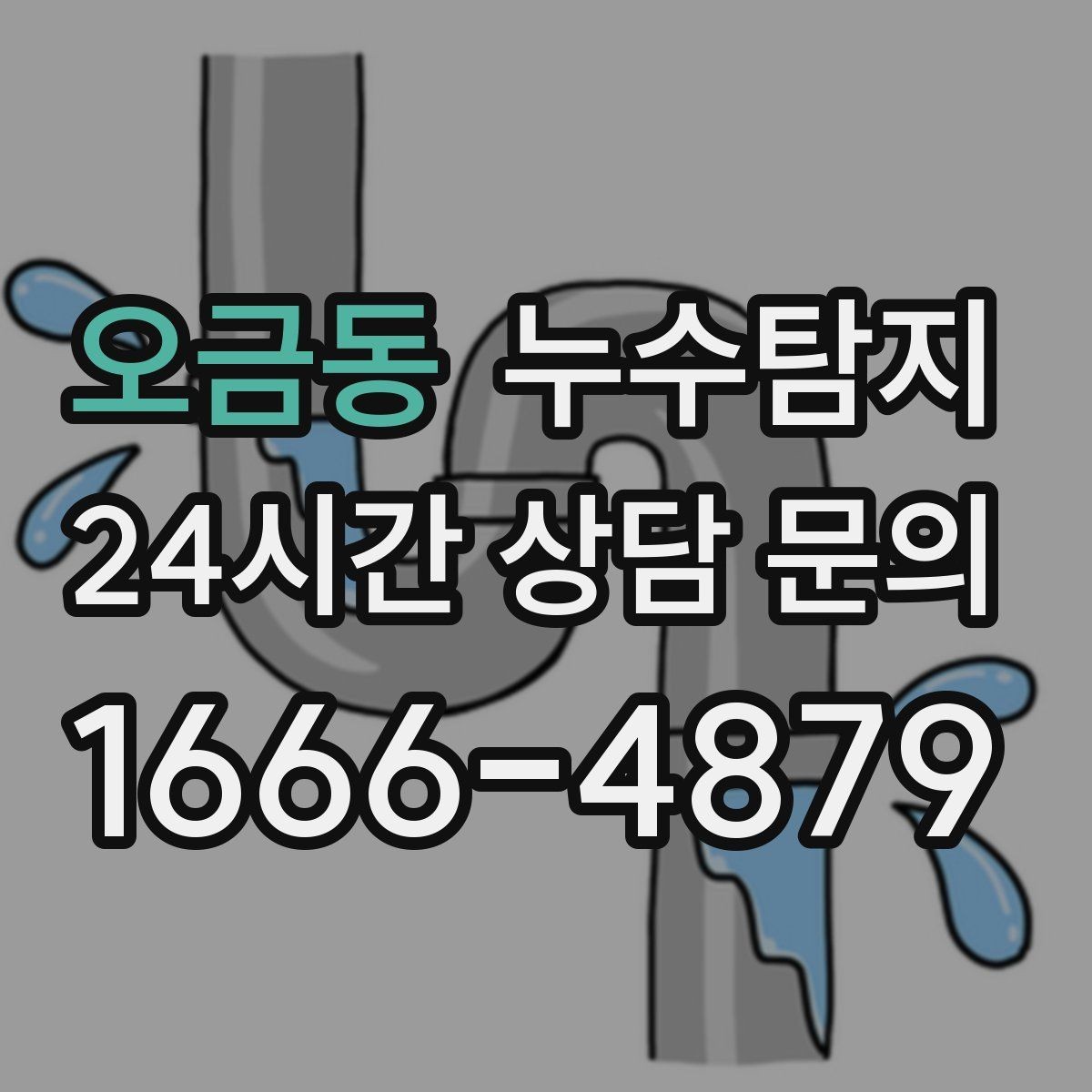 오금동 누수탐지 세탁실 배수 이상 확인 일지