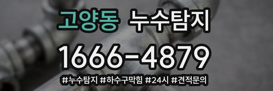 누수닥터 누수탐지