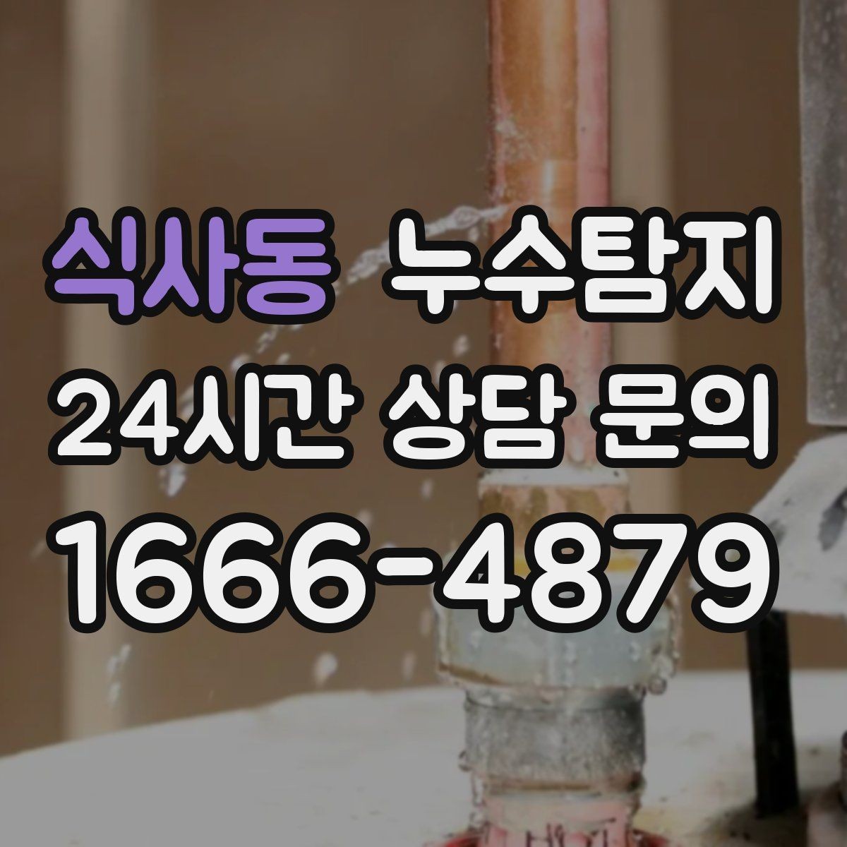 식사동 누수탐지 공용 복도 천장 점검 사례