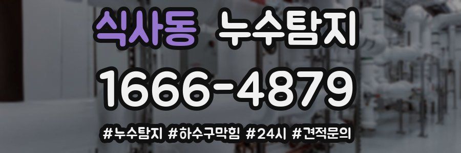 누수닥터 누수탐지