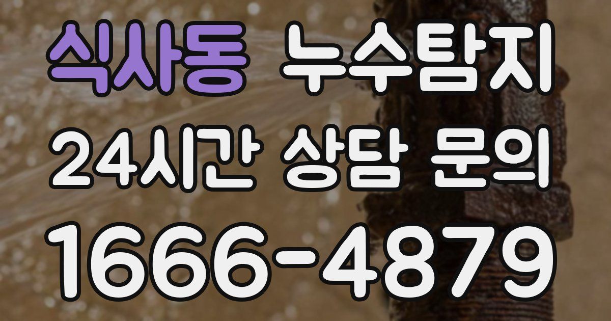 하수구막힘