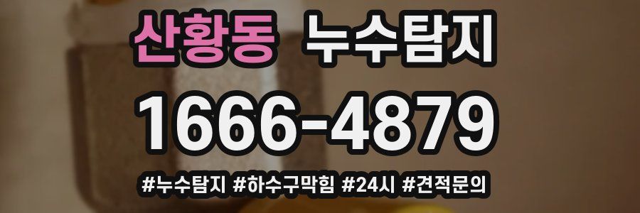 누수닥터 누수탐지