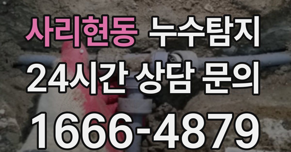 하수구막힘