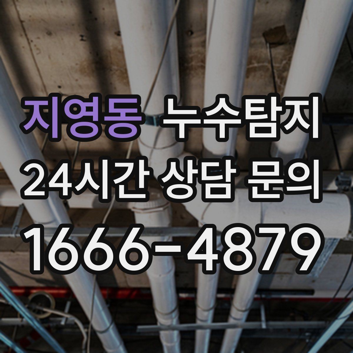 지영동 누수탐지 촬영 데이터로 확인한 변화