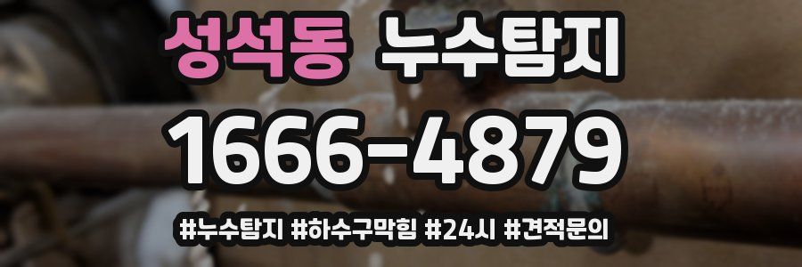 누수닥터 누수탐지