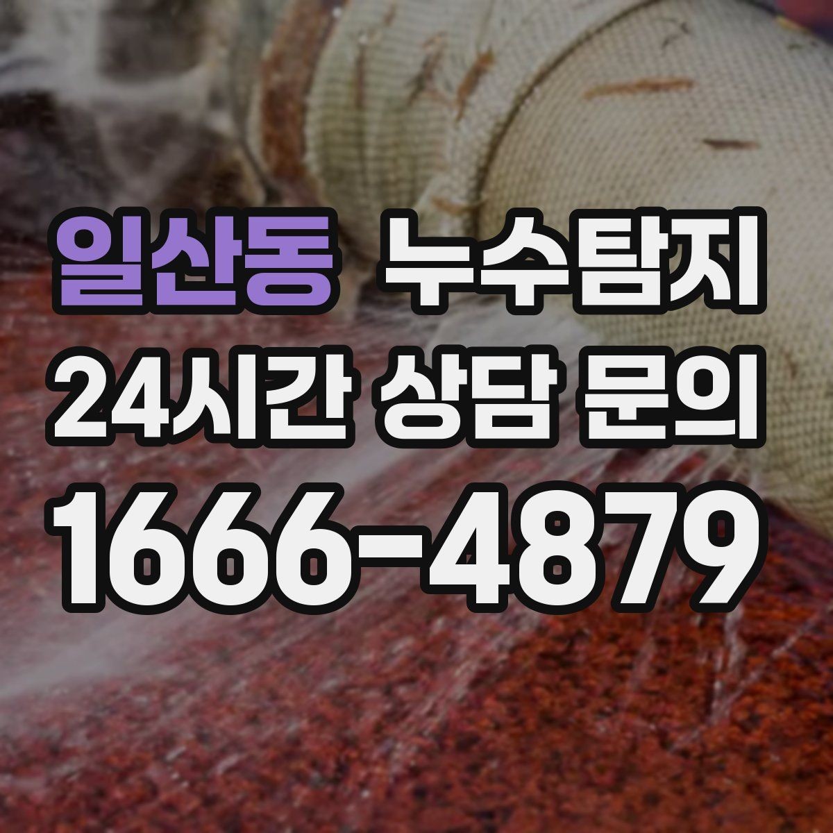 일산동 누수탐지 욕실 곰팡이 원인과 해결 과정