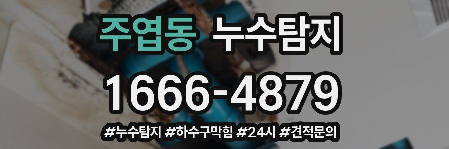 누수닥터 누수탐지