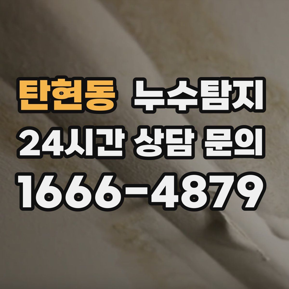 누수탐지