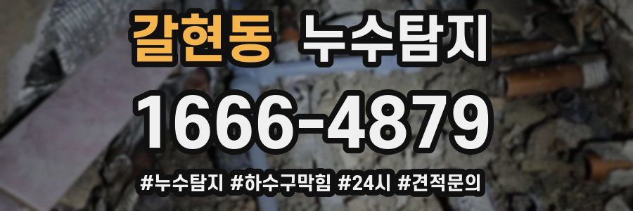 누수닥터 누수탐지