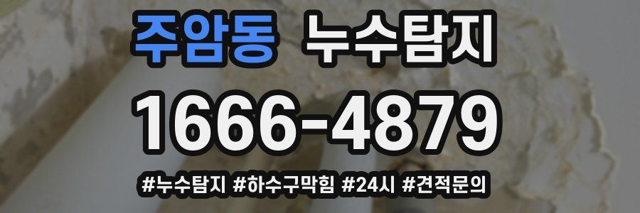 누수닥터 누수탐지