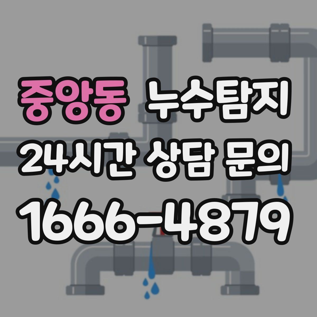 중앙동 누수탐지 눈에 안 보이는 누수 정확한 데이터로 해결하세요
