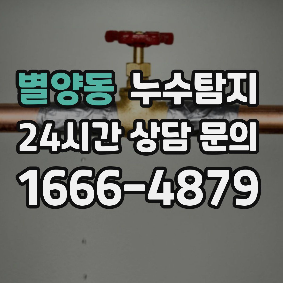 누수탐지