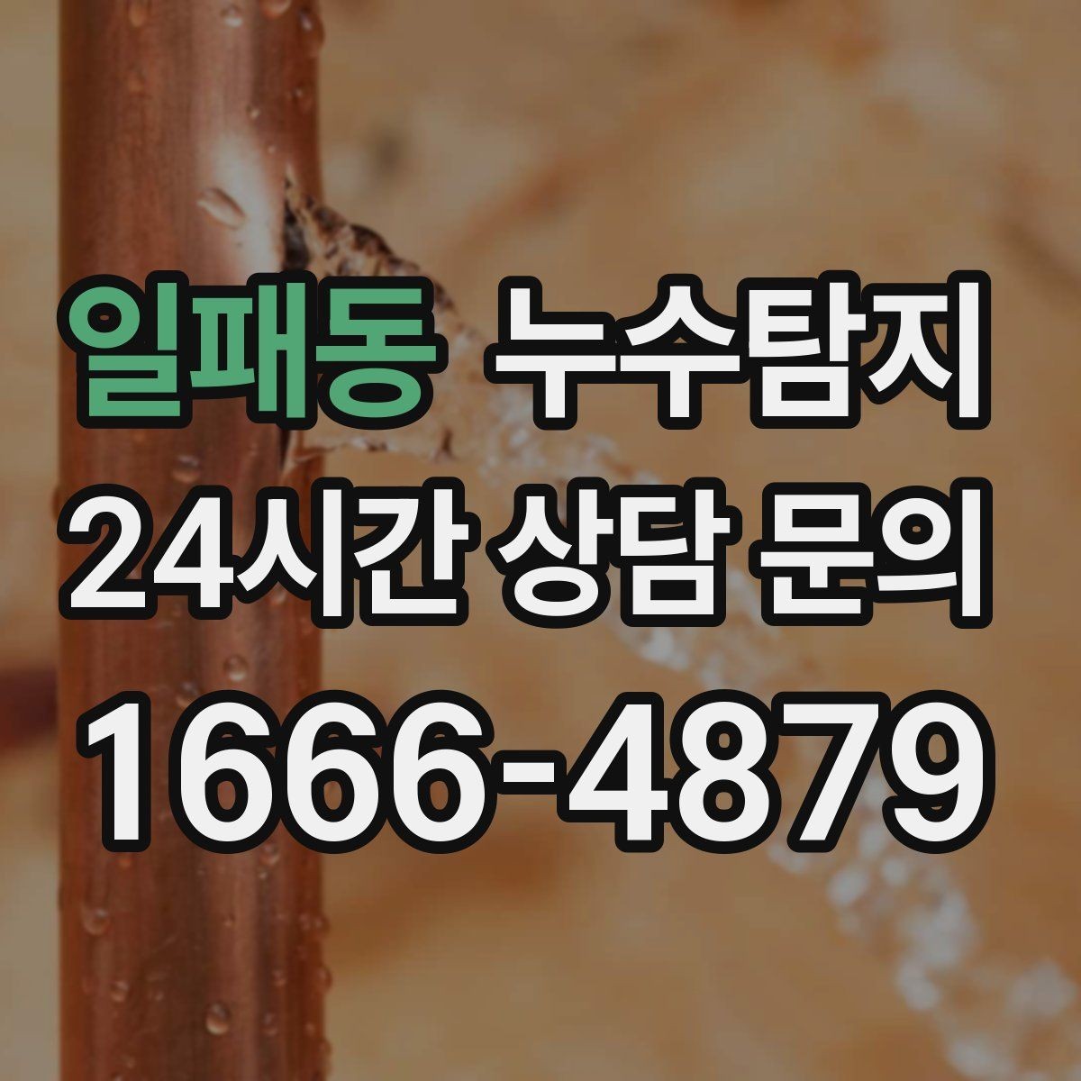 일패동 누수탐지 옥상 파라펫 균열 점검 일지